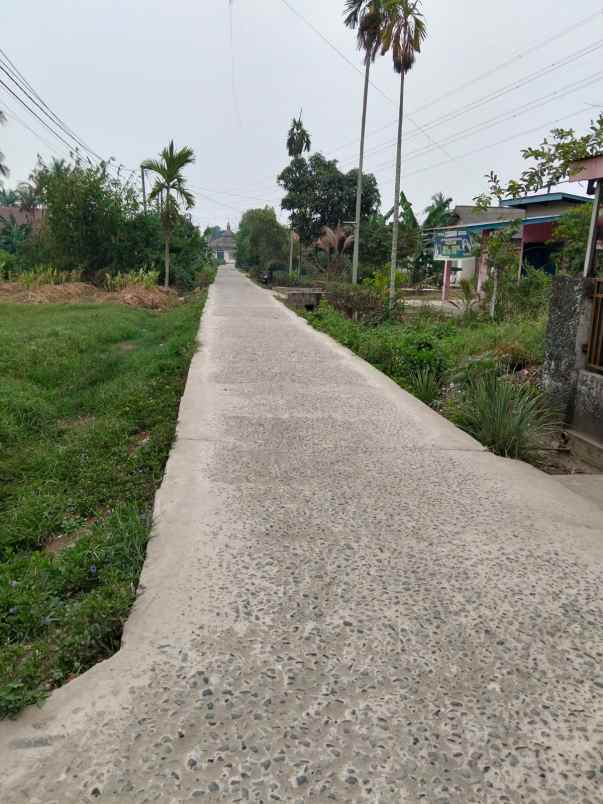dijual tanah jl merah mata lrg gotong