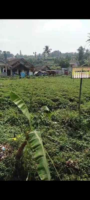 dijual tanah jl nasional 5