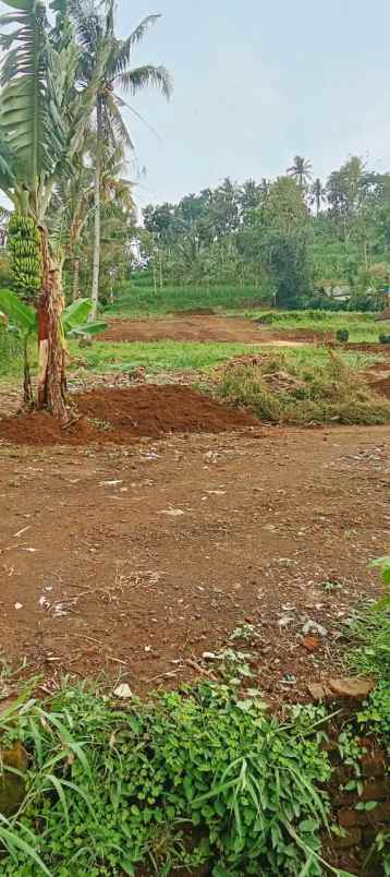 dijual tanah jl supiani majang tengah