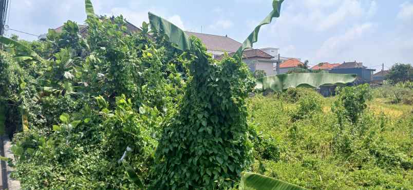 dijual tanah kapal mengwi badung bali