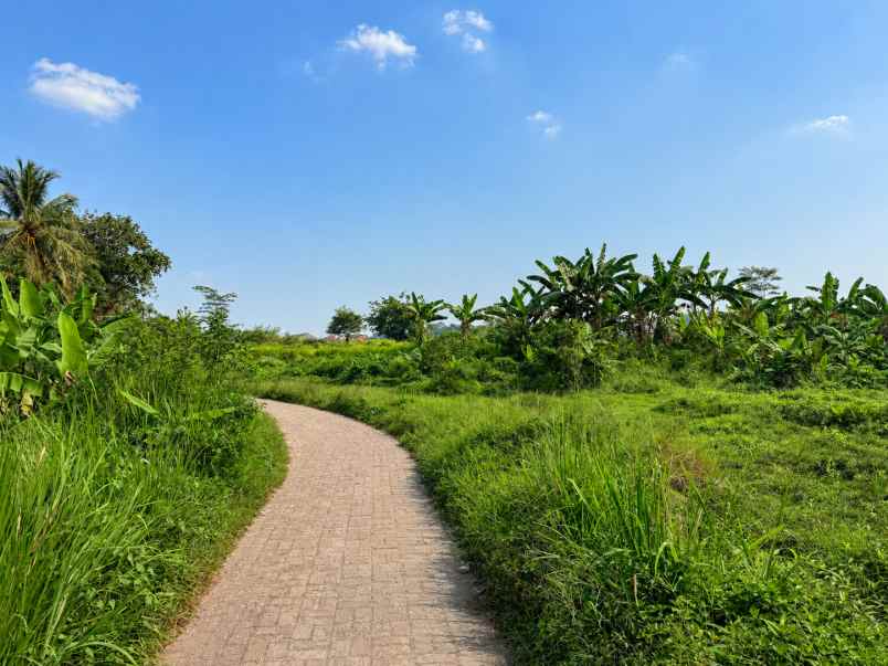dijual tanah karang tanjung