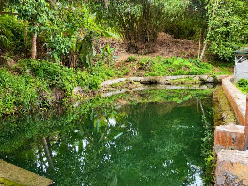 dijual tanah karang tanjung