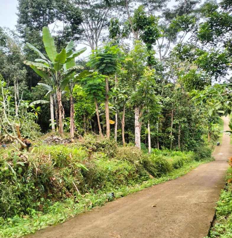 dijual tanah karangpandan karanganyar