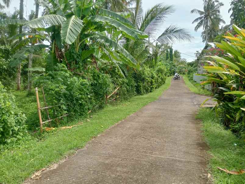 dijual tanah kebun los sungai kecil murah dekat pantai