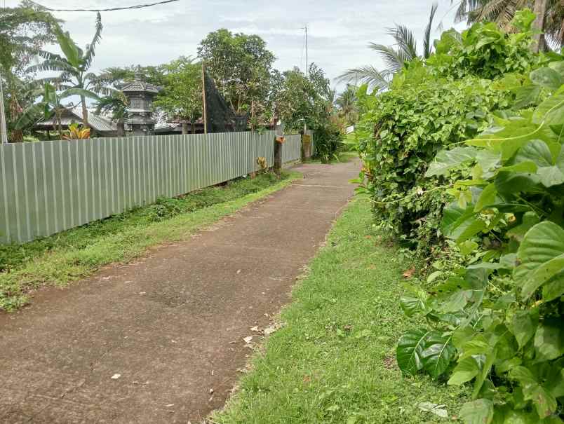 dijual tanah kebun los sungai kecil murah dekat pantai