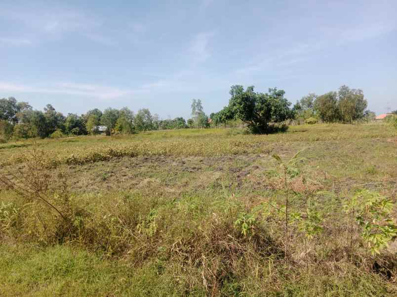 dijual tanah kecamatan pangarengan