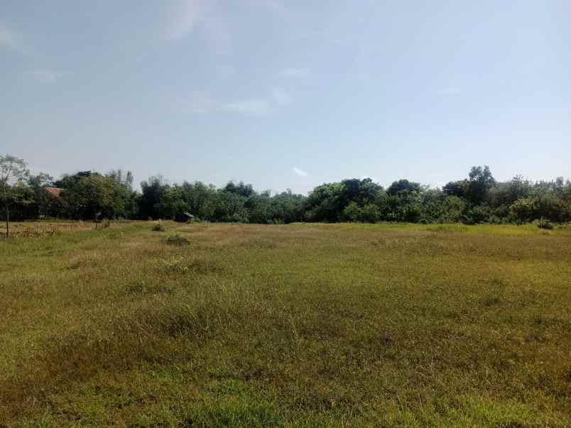 dijual tanah kecamatan pangarengan