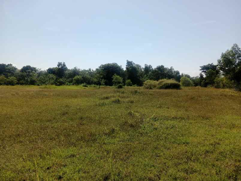 dijual tanah kecamatan pangarengan