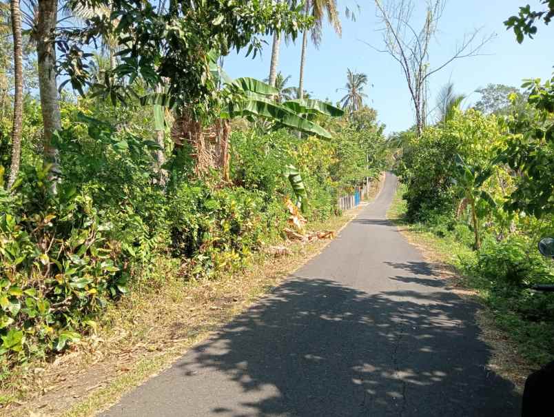 dijual tanah lalanglinggah selemadeg