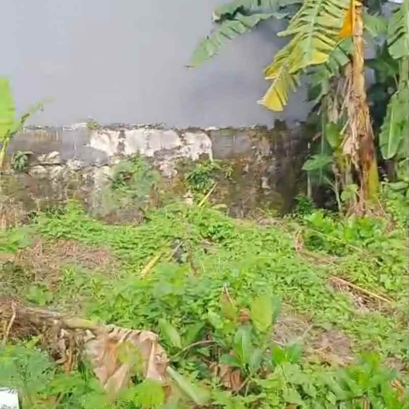 dijual tanah muding gatsu barat