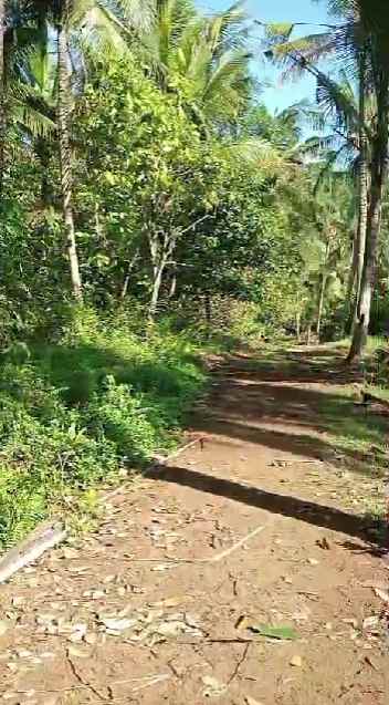 dijual tanah murah cocok untuk bangun villa di munduk