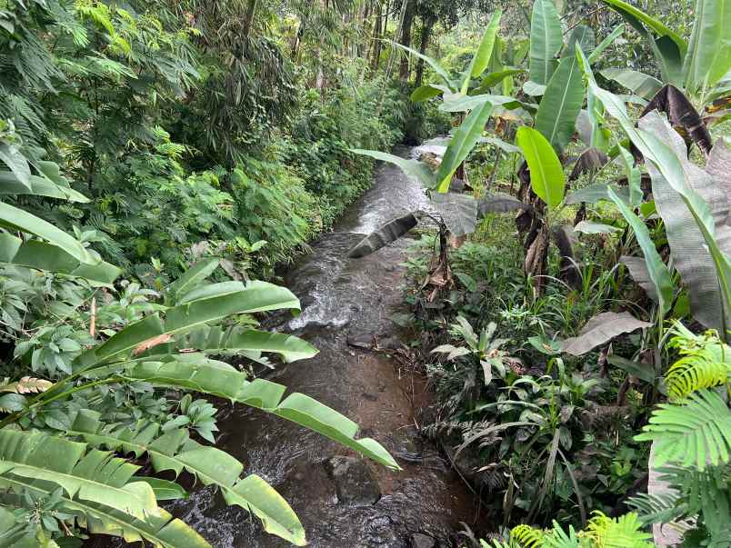 dijual tanah ngargoyoso karanganyar