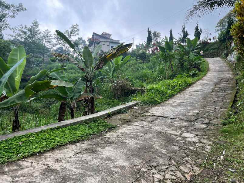 dijual tanah ngargoyoso karanganyar