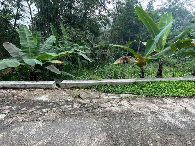 dijual tanah ngargoyoso karanganyar