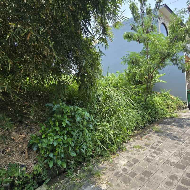 dijual tanah padang linjong
