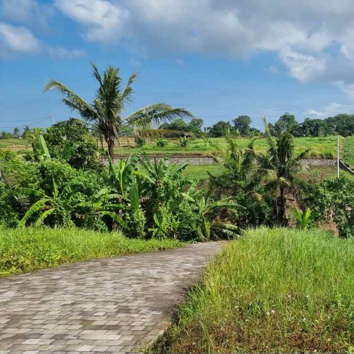 dijual tanah pantai kedungu