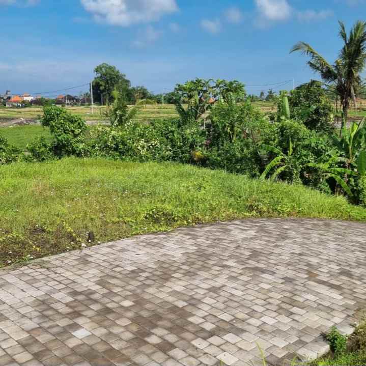 dijual tanah pantai kedungu