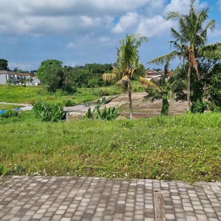 dijual tanah pantai kedungu