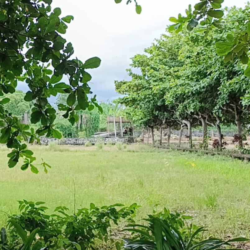 dijual tanah pantai padang galak