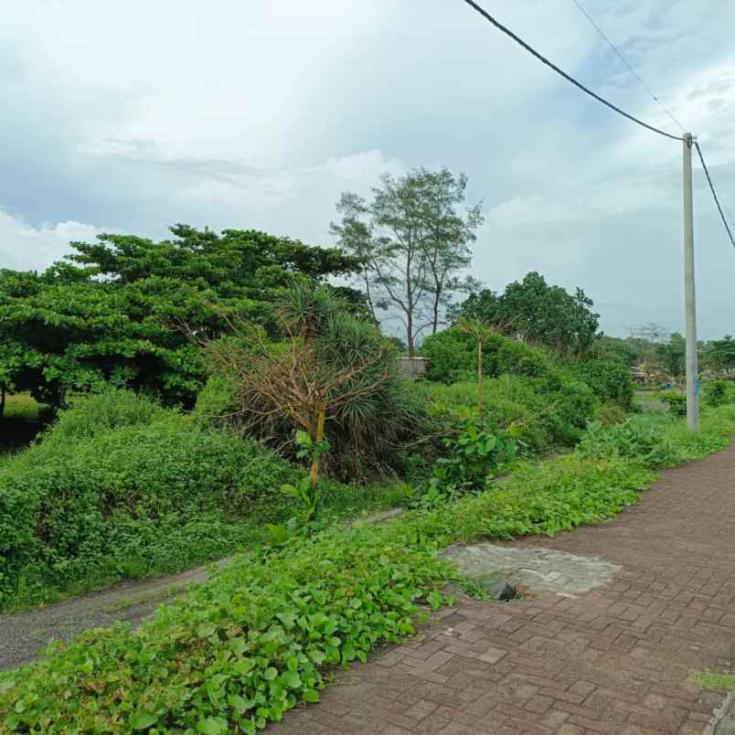 dijual tanah pantai padang galak