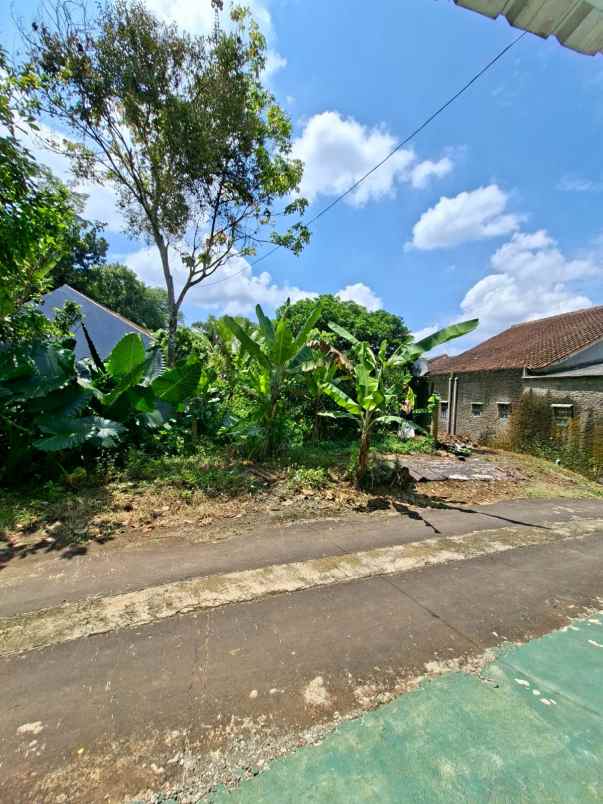 dijual tanah perum kertasari