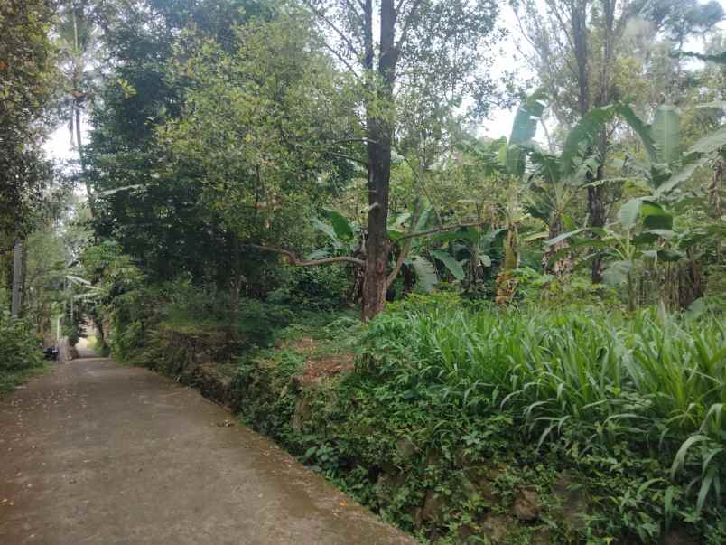 dijual tanah pinggir jalan udara sejuk pegunungan