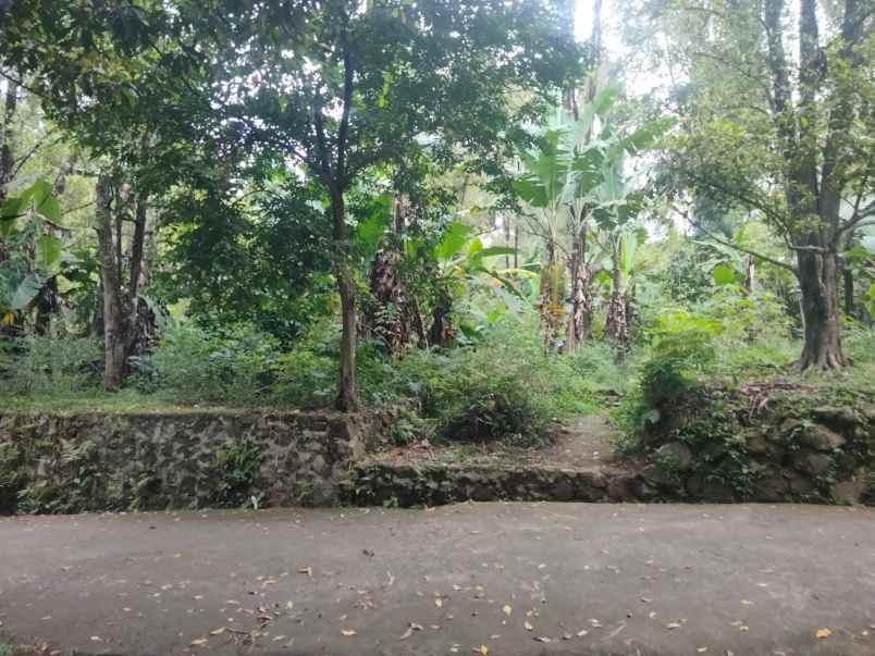 dijual tanah pinggir jalan udara sejuk pegunungan