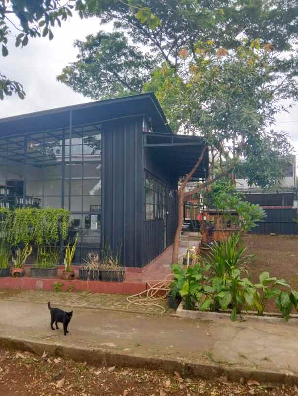 dijual tanah residensial di jalan joe kelapa tiga