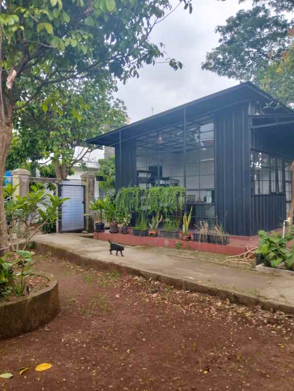 dijual tanah residensial di jalan joe kelapa tiga