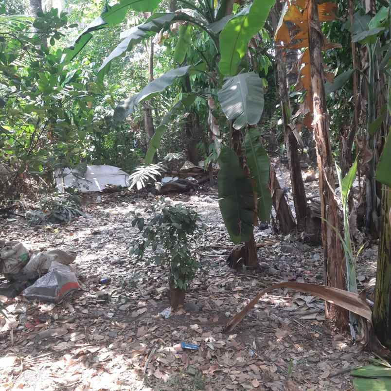 dijual tanah rt 008 rw 07