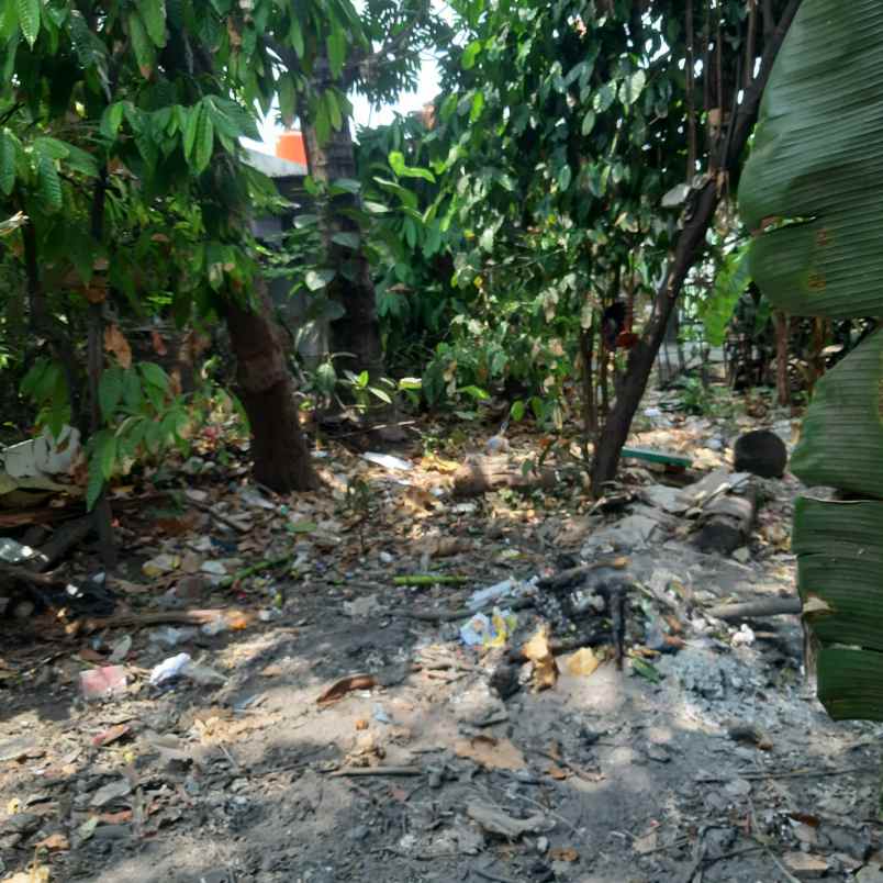 dijual tanah rt 008 rw 07