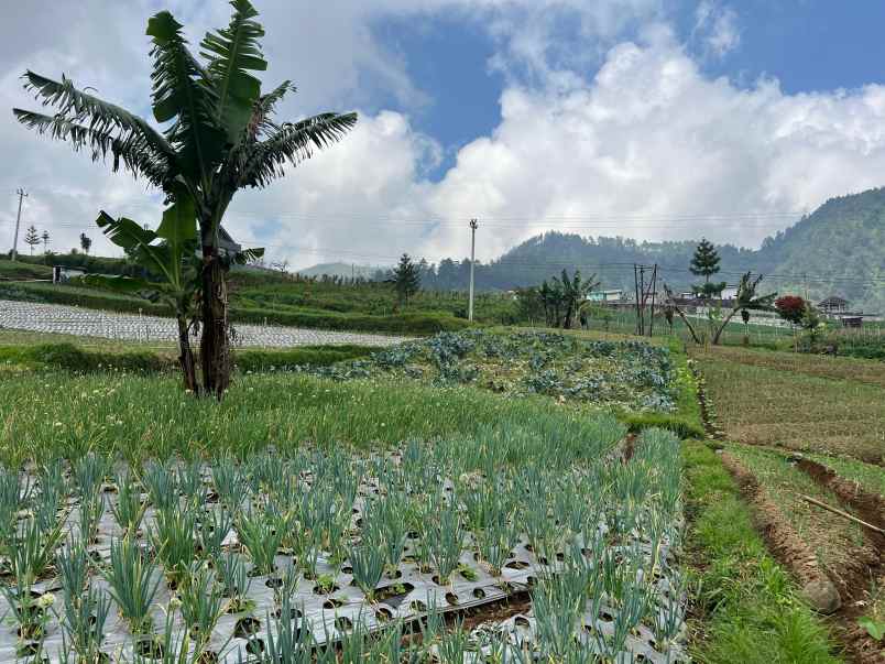 dijual tanah tawangmangu karanganyar