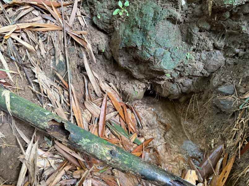 dijual tanah tegal waru kabupaten bogor