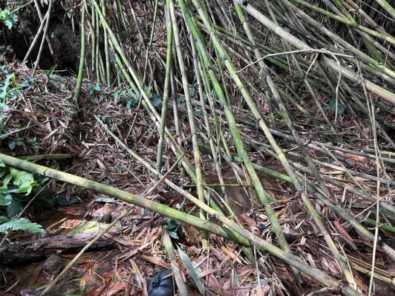 dijual tanah tegal waru kabupaten bogor