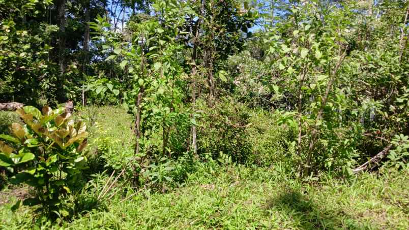 dijual tanah tengaran