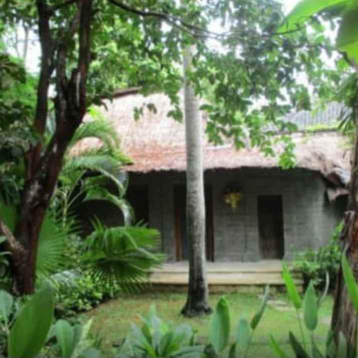 dijual tanah umalas bumbak dauh