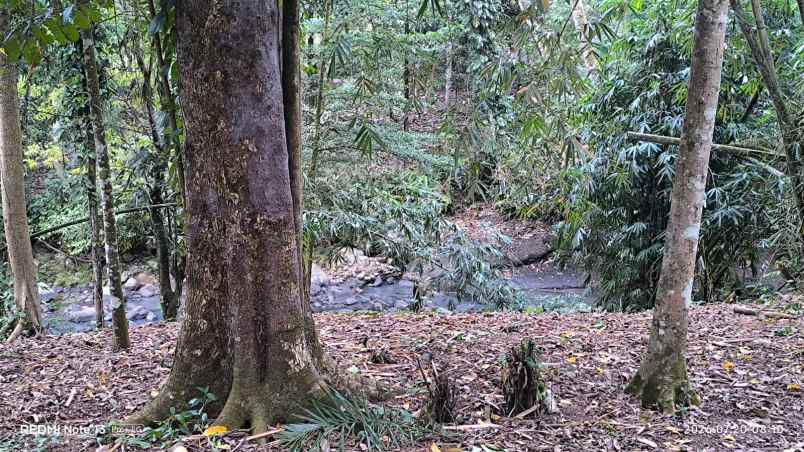 dijual tanah wanagiri selemadeg tabanan