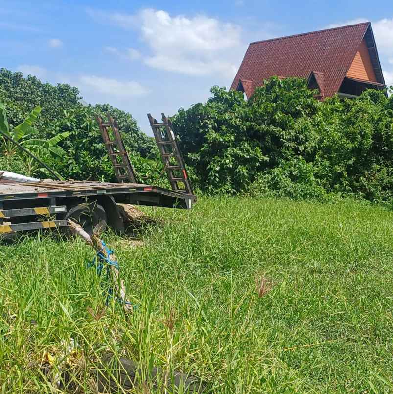 dikontrakan 7 93 are jl gelogor carik pemogan denpasar