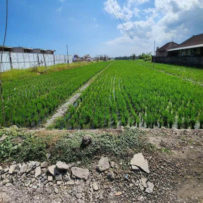 disewakan tanah pantai mengening