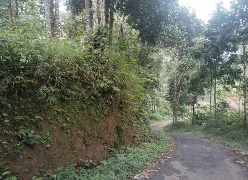 for sale tanah kebun ciater subang jawa barat
