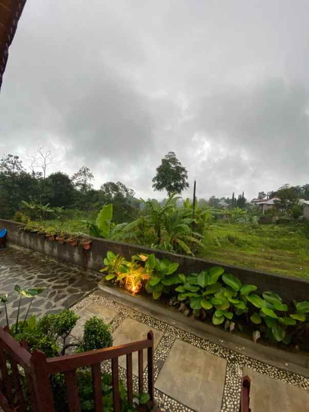 glamping berjo ngargoyoso karanganyar