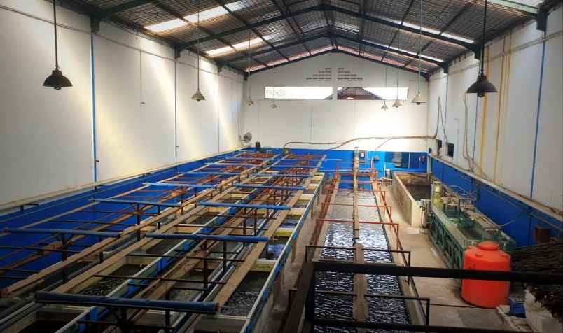 jual gudang kapuk kamal jak ut