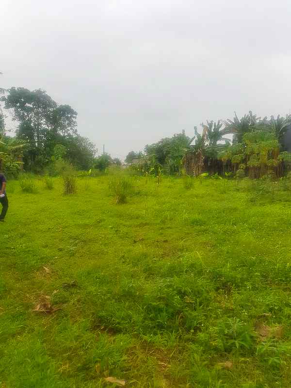 jual murah tanah rawakalong dekat serpong