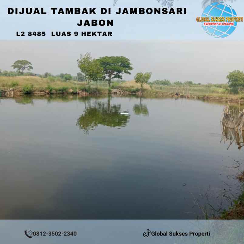 jual tambak luas dan produktif di bangunsari jabon