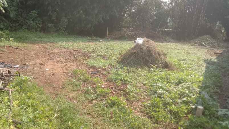 jual tanah daerah pesona ciputih bogor