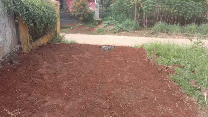 jual tanah daerah pesona ciputih bogor