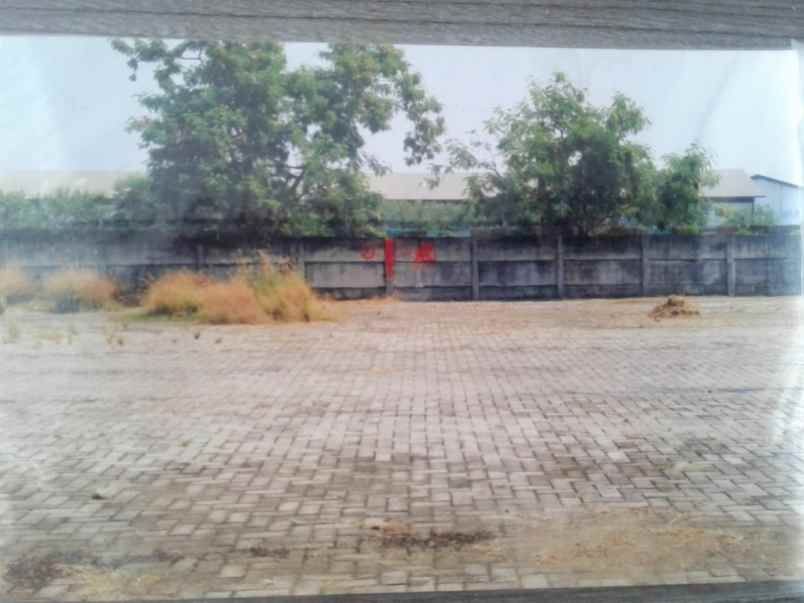 jual tanah di nol jalan raya osowilangon