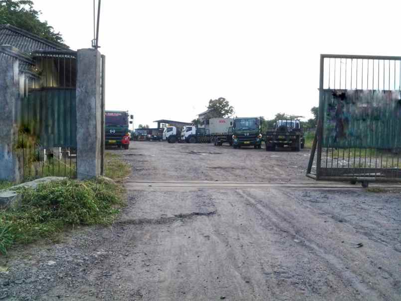 jual tanah di nol jalan raya osowilangon