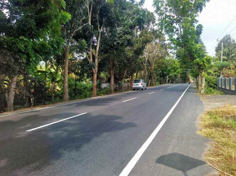 jual tanah di pinggir jalan raya denpasar gilimanuk