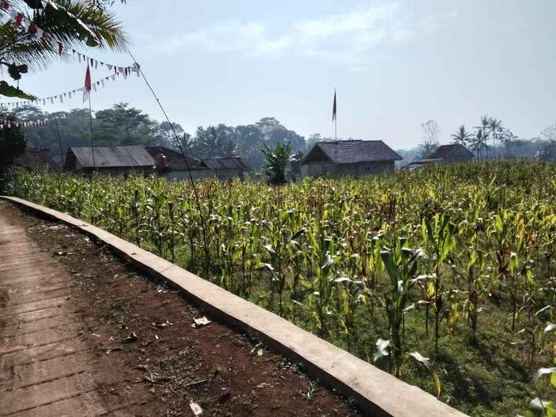 jual tanah kebun sawah